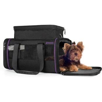 Airline Approved Expandable Pet Carrier