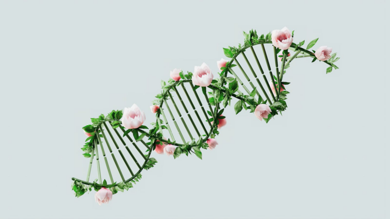 A creative representation of a DNA helix using flowers and leaves, symbolizing nature and biotechnology.